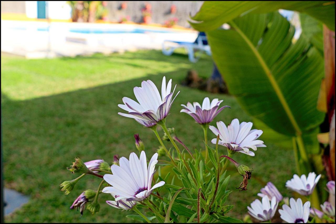 קוניל דה לה פרונטרה Chalet Con Piscina En Roche Viejo מראה חיצוני תמונה