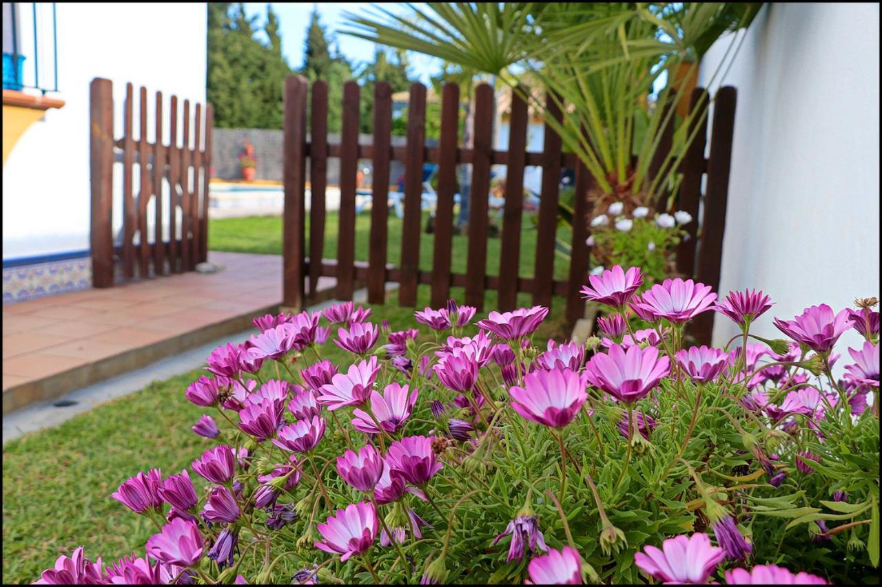 קוניל דה לה פרונטרה Chalet Con Piscina En Roche Viejo מראה חיצוני תמונה